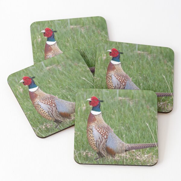 Item preview, Ring-Necked Pheasant designed and sold by NateNelsonPhoto.