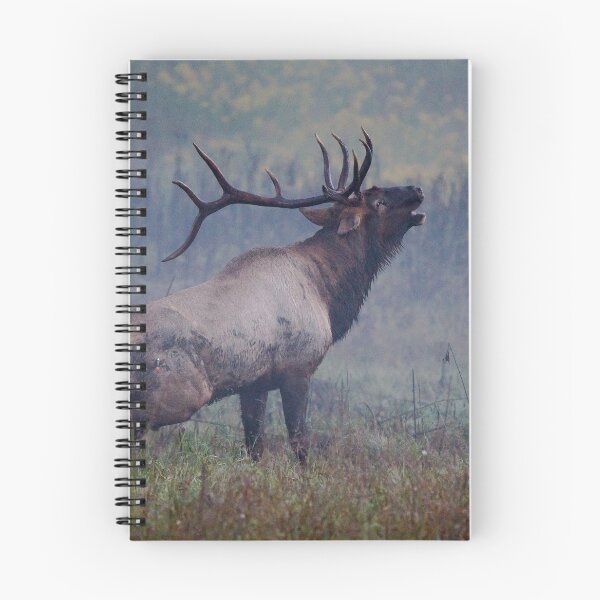 Item preview, Bull Elk Bugling in the Mist designed and sold by NateNelsonPhoto.