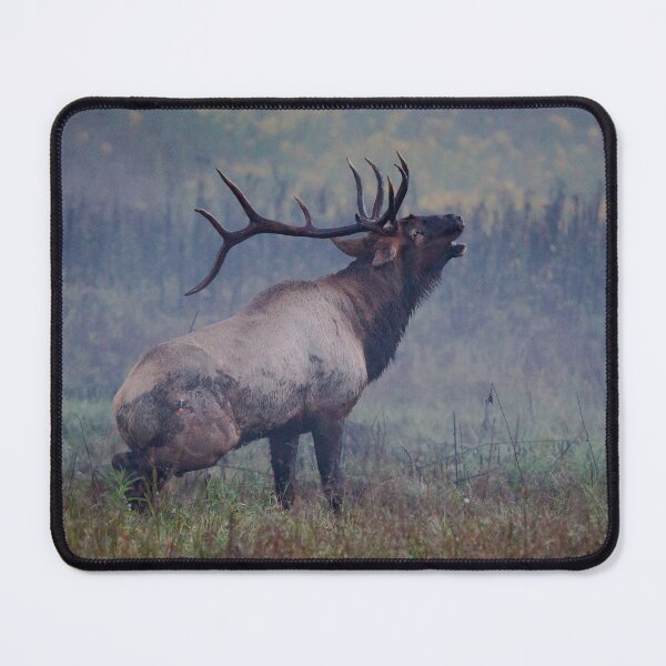 Item preview, Bull Elk Bugling in the Mist designed and sold by NateNelsonPhoto.