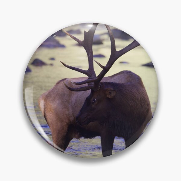 Artikelvorschau, Bull Elk in the River entworfen und verkauft von NateNelsonPhoto.