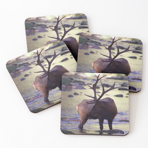 Item preview, Bull Elk in the River designed and sold by NateNelsonPhoto.