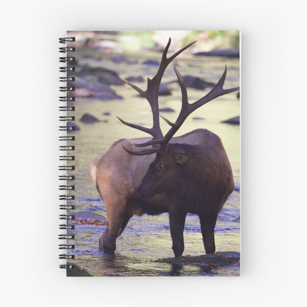 Item preview, Bull Elk in the River designed and sold by NateNelsonPhoto.
