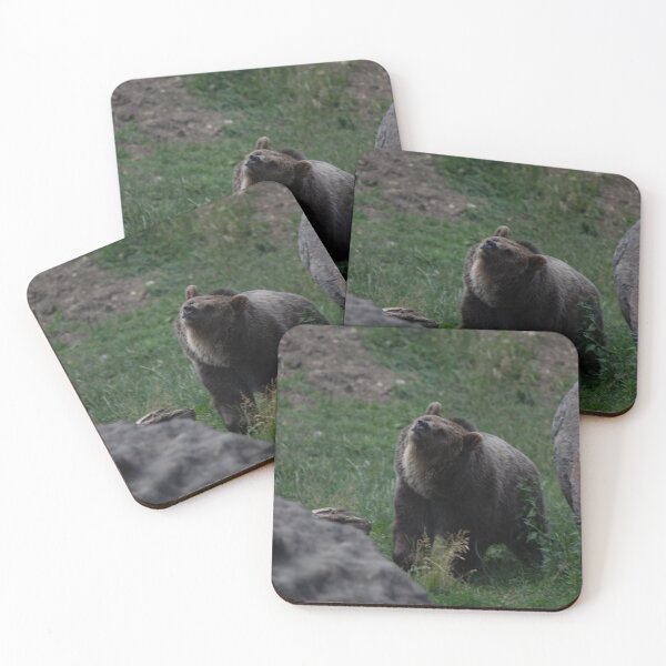 Item preview, Grizzly Bear in Yellowstone designed and sold by NateNelsonPhoto.