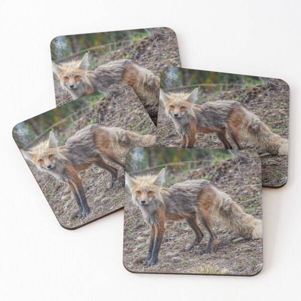 Item preview, Red Fox designed and sold by NateNelsonPhoto.