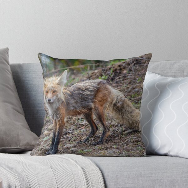 Item preview, Red Fox designed and sold by NateNelsonPhoto.