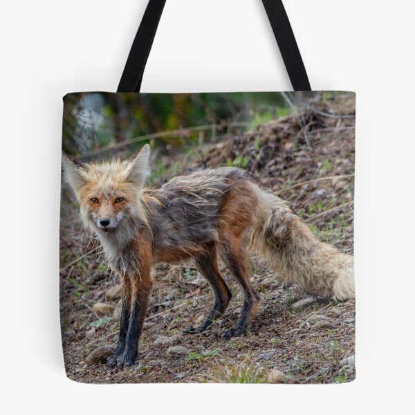 Item preview, Red Fox designed and sold by NateNelsonPhoto.