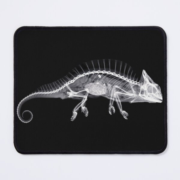 Item preview, Crested Chameleon (Chamäleon cristatus) designed and sold by The Ravens Ballad.