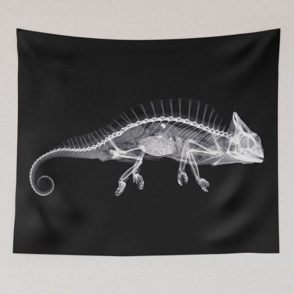 Item preview, Crested Chameleon (Chamäleon cristatus) designed and sold by The Ravens Ballad.