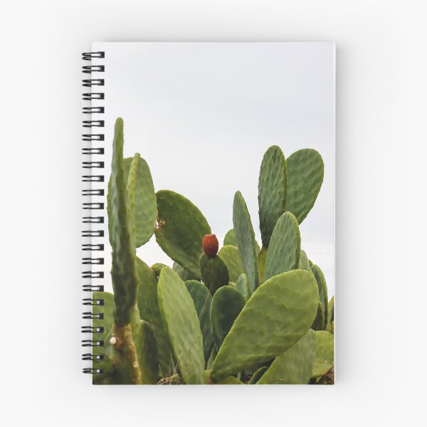 Item preview, Green Prickly Pear Cactus With Single Red Fruit Against Overcast Sky — Opuntia Succulent Plant designed and sold by Nmallia.