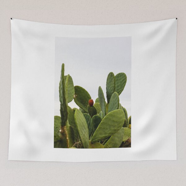 Item preview, Green Prickly Pear Cactus With Single Red Fruit Against Overcast Sky — Opuntia Succulent Plant designed and sold by Nmallia.