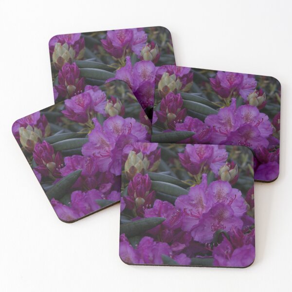 Item preview, Rhododendron in Bloom designed and sold by NateNelsonPhoto.