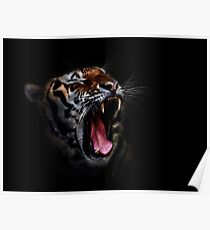 Poster of Tiger Roaring Poster