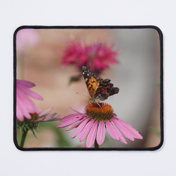 Item preview, painted lady butterfly on coneflower designed and sold by distracted.