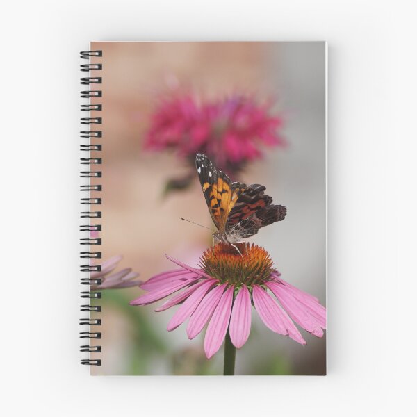Item preview, painted lady butterfly on coneflower designed and sold by distracted.