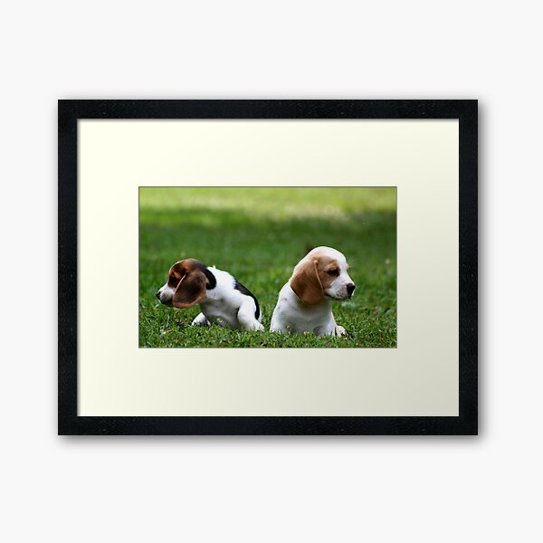 Puppies Take a Break Framed Art Print
