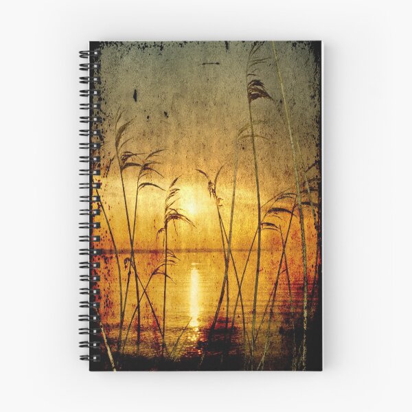 Item preview, Reeds bathing in evening sun light designed and sold by Manfred Belau.