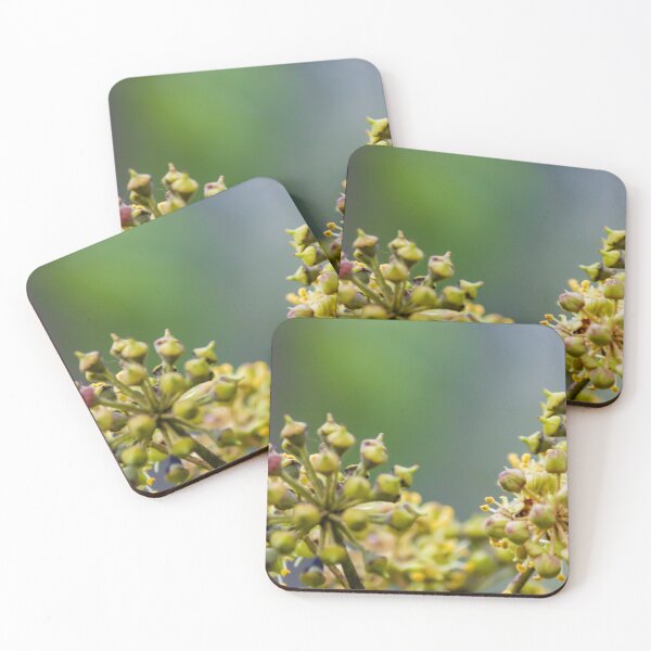 Item preview, Macro Close-Up Of Green And Yellow Flower Bud Clusters With Soft Bokeh Background designed and sold by Nmallia.