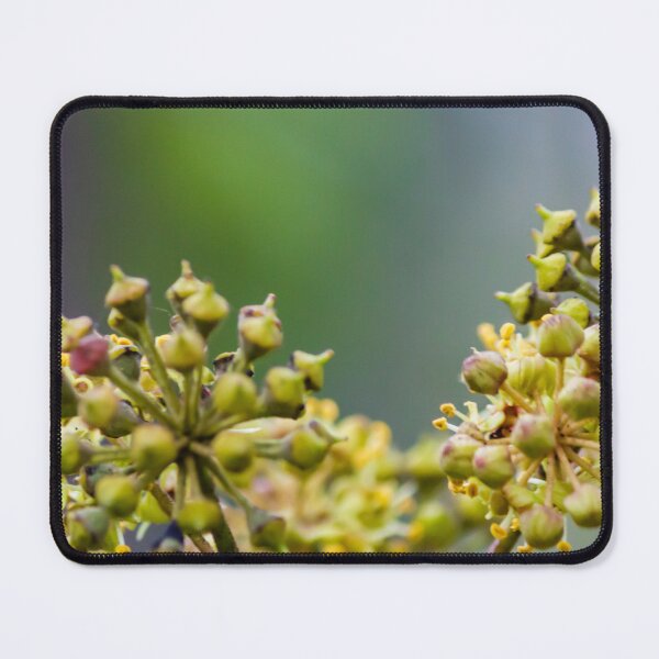 Item preview, Macro Close-Up Of Green And Yellow Flower Bud Clusters With Soft Bokeh Background designed and sold by Nmallia.