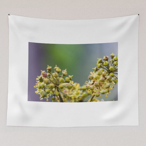 Item preview, Macro Close-Up Of Green And Yellow Flower Bud Clusters With Soft Bokeh Background designed and sold by Nmallia.