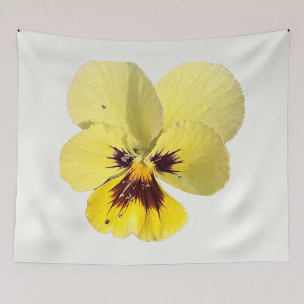 Item preview, Isolated Yellow Tricolor Pansy Blossom designed and sold by BalkanBloom.