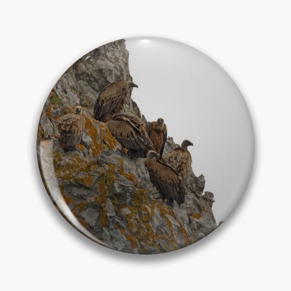 Item preview, The Griffon Vultures of Spain designed and sold by TomRomanPhotos.
