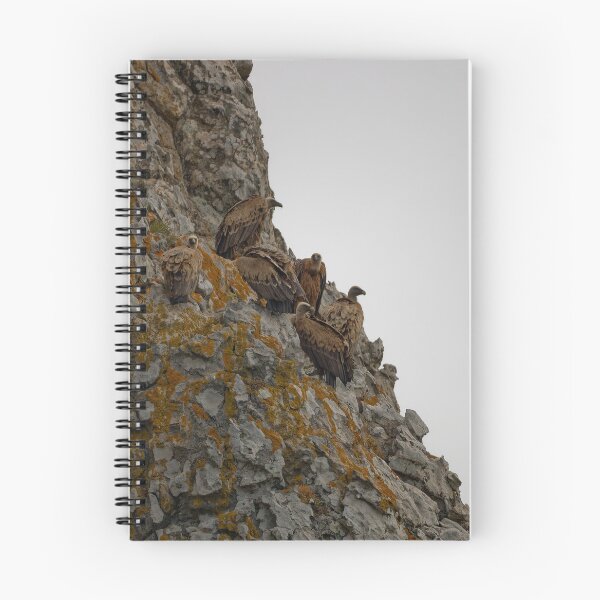 Item preview, The Griffon Vultures of Spain designed and sold by TomRomanPhotos.