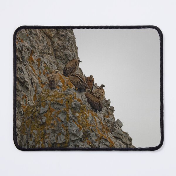 Item preview, The Griffon Vultures of Spain designed and sold by TomRomanPhotos.