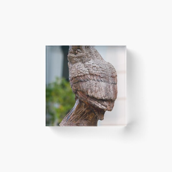 Item preview, Carved Wooden Owl Sculpture Bust With Detailed Feathers and Rustic Outdoor Decorative Art designed and sold by Nmallia.