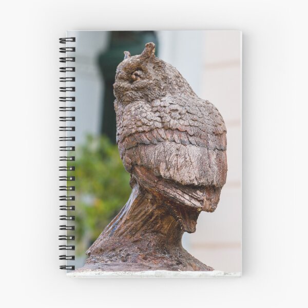 Item preview, Carved Wooden Owl Sculpture Bust With Detailed Feathers and Rustic Outdoor Decorative Art designed and sold by Nmallia.