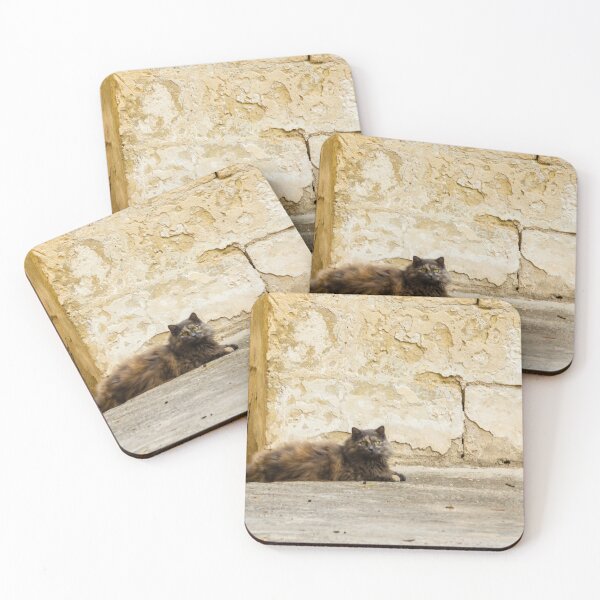 Item preview, Fluffy Longhair Cat Relaxing in a Sunny Alley Beside Weathered Stone Wall designed and sold by Nmallia.