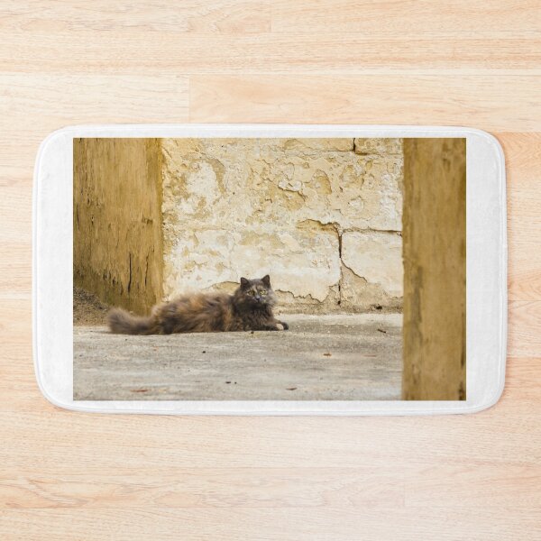 Item preview, Fluffy Longhair Cat Relaxing in a Sunny Alley Beside Weathered Stone Wall designed and sold by Nmallia.