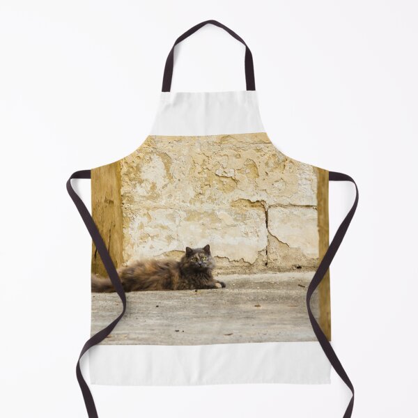 Item preview, Fluffy Longhair Cat Relaxing in a Sunny Alley Beside Weathered Stone Wall designed and sold by Nmallia.