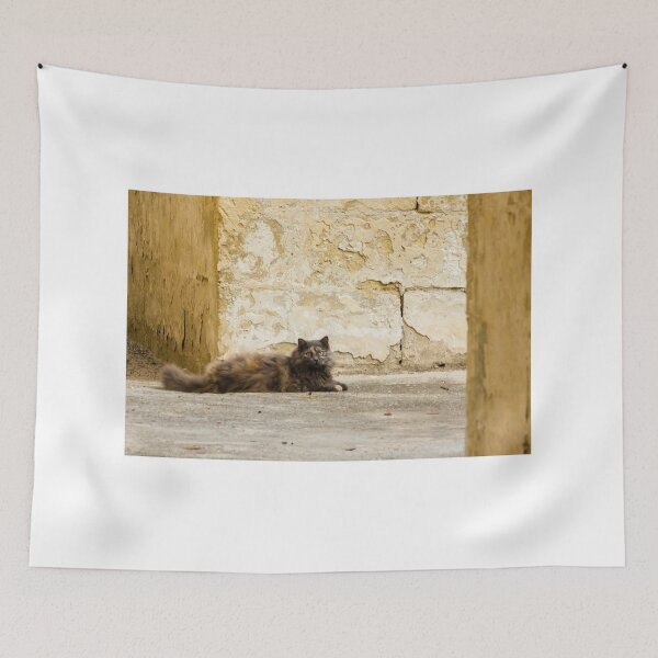 Item preview, Fluffy Longhair Cat Relaxing in a Sunny Alley Beside Weathered Stone Wall designed and sold by Nmallia.