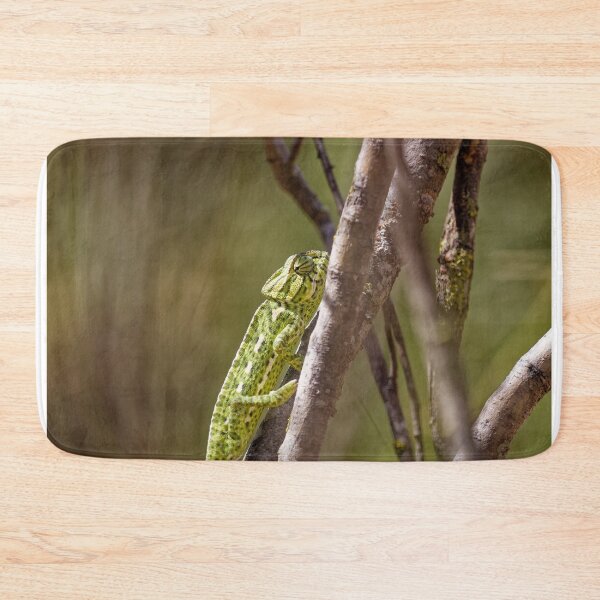 Item preview, A Mediterranean Chameleon in Spain (2) designed and sold by TomRomanPhotos.