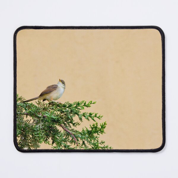 Item preview, Little Brown Sparrow on Tree Branch | Wildlife Nature Photography designed and sold by Dinasworld.