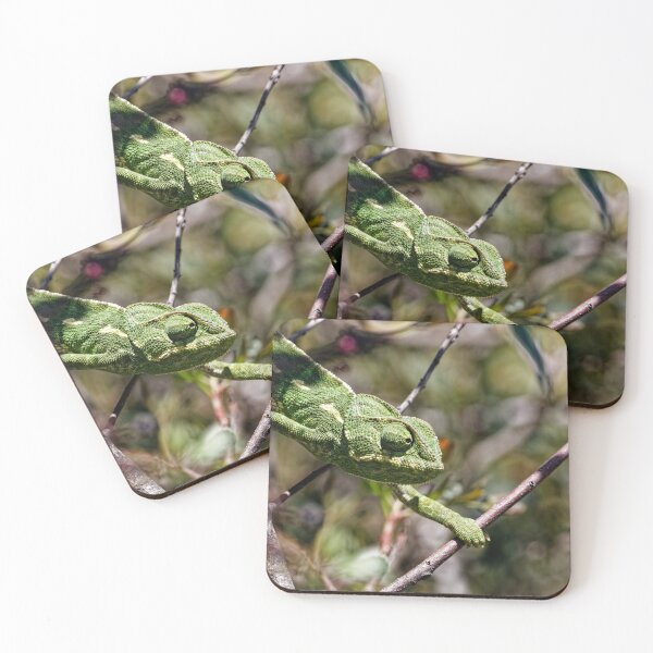 Item preview, A Mediterranean Chameleon in Spain (3) designed and sold by TomRomanPhotos.