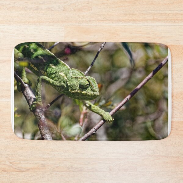 Item preview, A Mediterranean Chameleon in Spain (3) designed and sold by TomRomanPhotos.