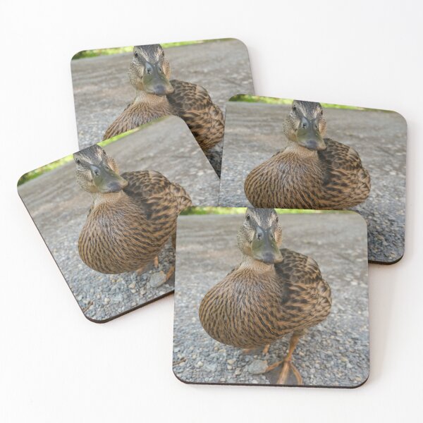 Item preview, Mallard Duck Swimming on Calm Water with Natural Reflections designed and sold by TsvietkovaArt.