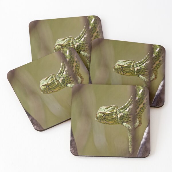 Item preview, A Mediterranean Chameleon in Spain (4) designed and sold by TomRomanPhotos.