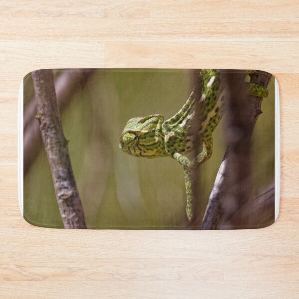 Item preview, A Mediterranean Chameleon in Spain (4) designed and sold by TomRomanPhotos.