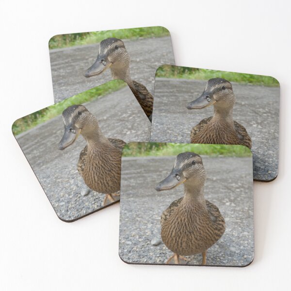 Item preview, Curious Mallard Duck Portrait – Wildlife Nature Photography designed and sold by TsvietkovaArt.