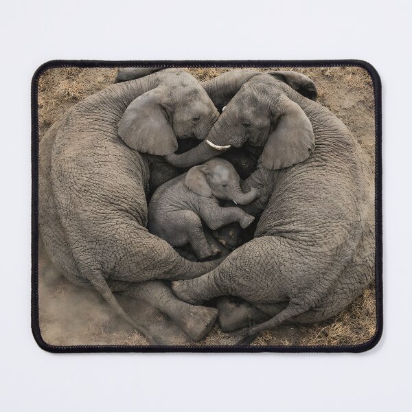Item preview, Elephant family forms a protective heart around their baby from above designed and sold by Fotografin1981.