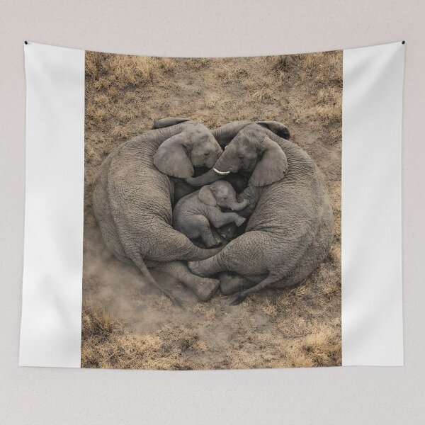 Item preview, Elephant family forms a protective heart around their baby from above designed and sold by Fotografin1981.