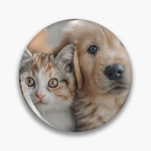 Item preview, Adorable photo of a puppy and kitten designed and sold by dcrc.