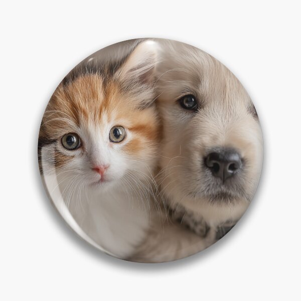 Item preview, Adorable photo of a puppy and kitten designed and sold by dcrc.