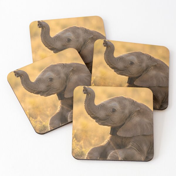 Item preview, Cute baby elephant with a colorful bird on its trunk designed and sold by Fotografin1981.