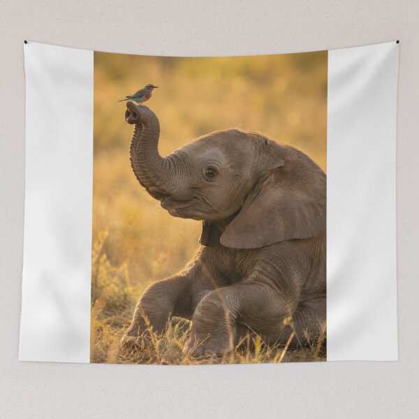 Item preview, Cute baby elephant with a colorful bird on its trunk designed and sold by Fotografin1981.