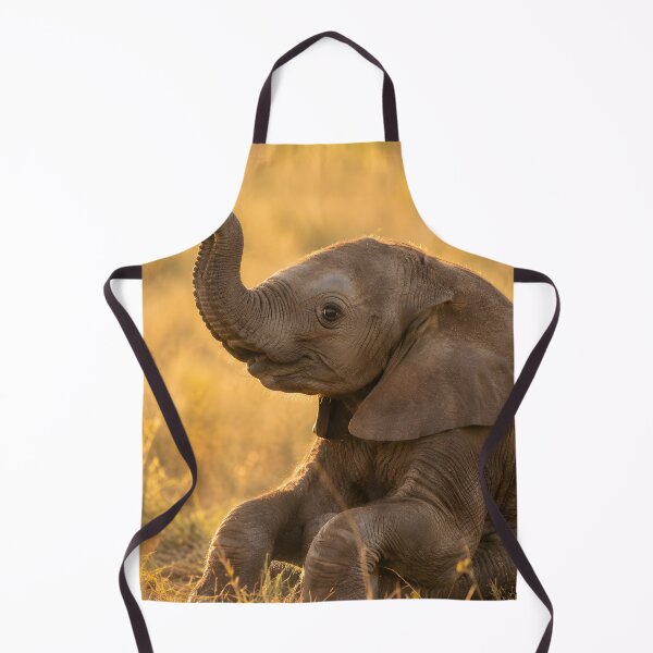 Item preview, Cute baby elephant with a colorful bird on its trunk designed and sold by Fotografin1981.