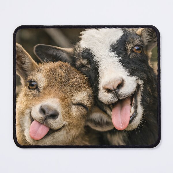 Item preview, Two funny little goats stick out their tongues. designed and sold by Fotografin1981.