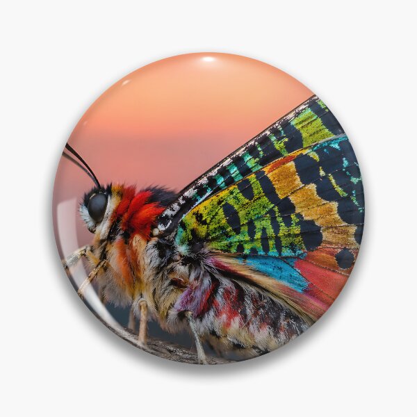 Item preview, Exotic, colorful butterfly in the warm evening light designed and sold by Fotografin1981.